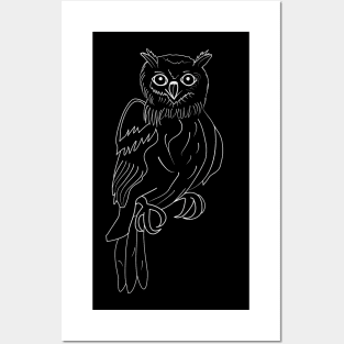 Owl Posters and Art